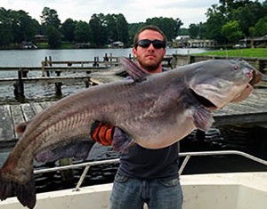 bluecatfish lake norman